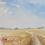 Poppies_in_cornfield_card