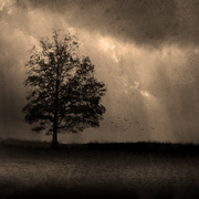 Heading_home_card