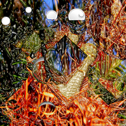 Garden_grevillia_5_card