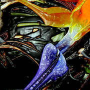 Garden_bird_of_paradise_card