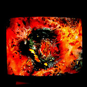Saradiciero-07_card
