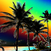 Florida_sunset_popart_low_card