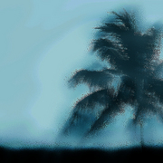 Water_ripple_palm_card