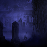 Aftermidnight_card