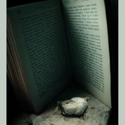 Wiara_card