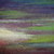 P7020103_tiny_square