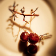 750359-1-grapes_card