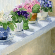 Violets_study_card