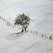 Schneefeld_mit_baum_card