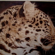 Leopardo_2_card