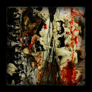 Am13_card