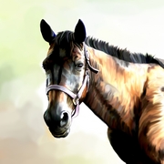 Horse6_card