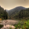 Red_lake2_thumb