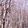 Orizzonte_nascosto_thumb