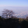 Paesaggio_thumb