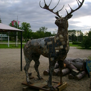 Buck_aug_24_002_card
