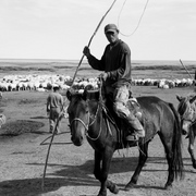 Img_9734_card