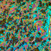 Mcolour_6a_card