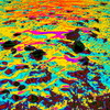 Mcolour_11a_thumb