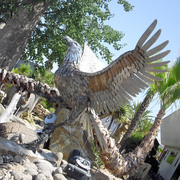 Aguila1_card