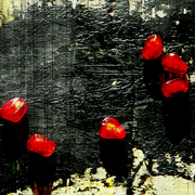 Nature01_artmoz_card