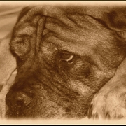 Resize1_card
