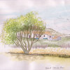 Behind-casa-do-poco_thumb