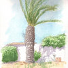 Casa-do-poco-tree_thumb