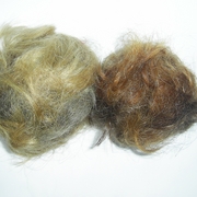 2_hairy_balls_card