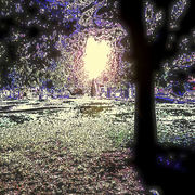 Il_parco_card