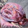 Appena_giunto_sul_pianeta_terra_n°3_thumb