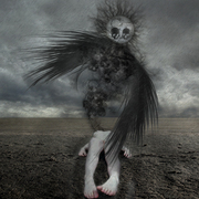 Dark_consicience_card