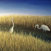 Egrets_2008__mid_kb_card