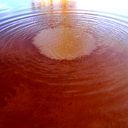 Mudart_7_card
