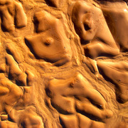 Mudart_3_card