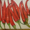 Spansk_peppar_009_thumb