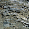 Wood_thumb