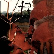 3439098005_2bb19028fa_o_card