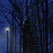 Night_lights_card