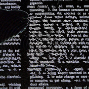 Point_7_card