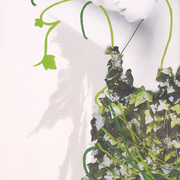 Natura_viva_copia_card
