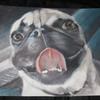 Otis_thumb