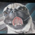 Otis_tiny_square