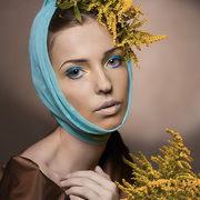 Untitled-1_card