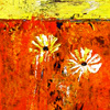 Field2_copy_thumb