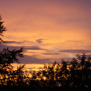 Sunset_-_aug__09_card