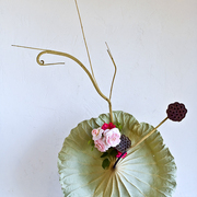 Ikebana-145_card