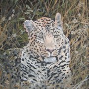 Img_2945_card