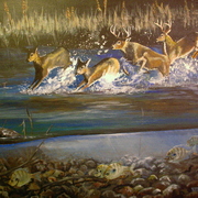 Bluegill_004_s_card