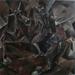 P9060016_square